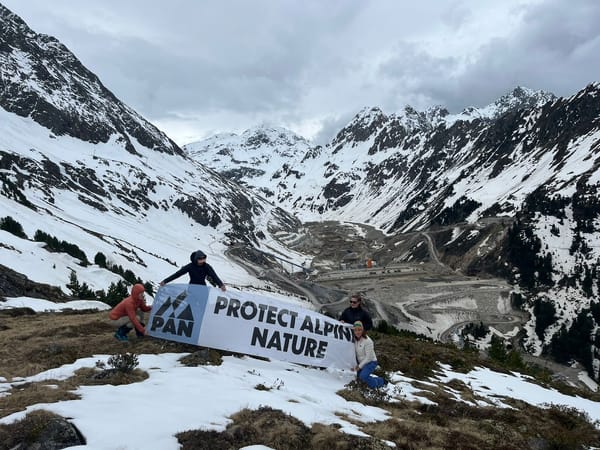 Tag zum Schutz der Alpen 2024 – Rückblick